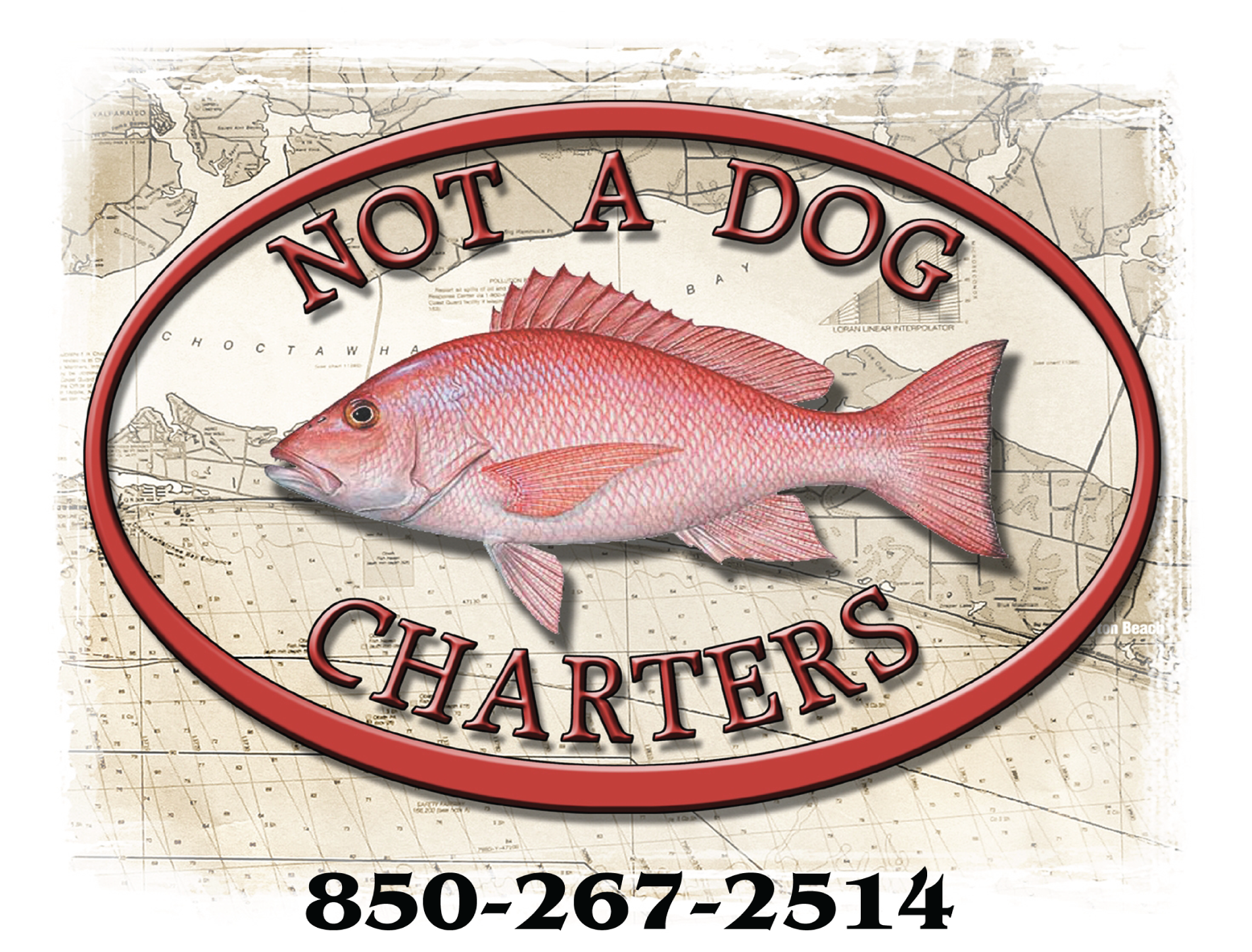 Not a Dog Charters